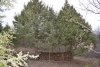 Заготовленные дрова из краснокнижного можжевельника, вероятно, радуют глаз новоиспечённого владельца участка 