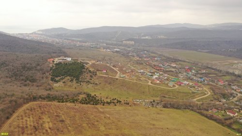 Уникальная куртина можжевельников стала участком под строительство в посёлке "Заповедный" (Сукко)