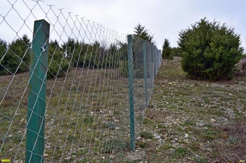 Загородный посёлок "Заповедный" (Сукко) строится по живым можжевельникам