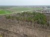 Посадки сосны и кленовая аллея в лесопарке Юбилейный возле аула Понежукай