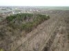 Посадки сосен и кленовая аллея в лесопарке Юбилейный (Теучежский район Адыгеи)