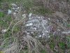 "Останцы" нерекультивированной свалки в Теучежском районе