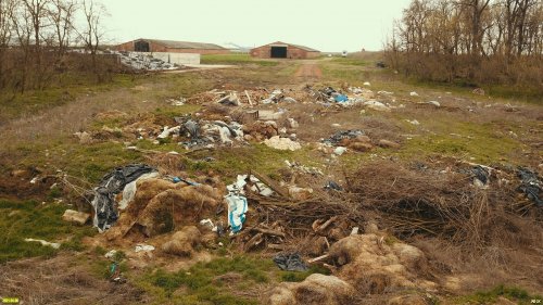 Свалка отходов фирмы "Агрокомплекс" вторглась в Медвёдовский Лес