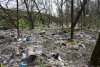 Мусор, растащенный бомжами с Тимашевской свалки в соседнюю лесополосу для "сортировки"