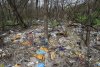 Соседствующая с Тимашевской свалкой лесополоса мало чем от неё отличается