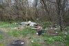 Лесополоса возле Тимашевской районной свалки тоже страдает от мусора