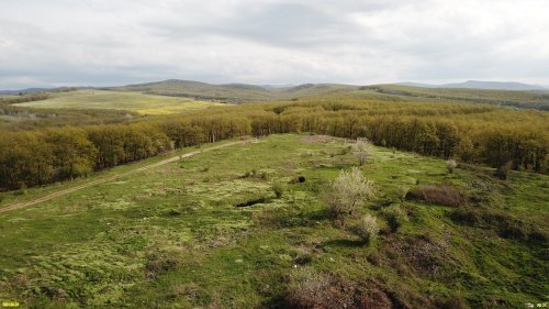 Бывшая Холмская свалка ТБО была "рекультивирована", то есть засыпана землёй 