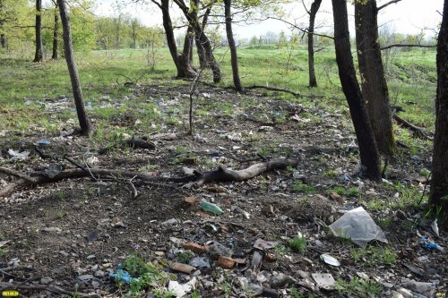 Урочище Холмский лес возле станицы Холмской местами сильно замусорен