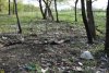 Урочище Холмский лес возле станицы Холмской местами сильно замусорен