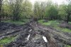 Весенняя распутица в урочище Холмский лес (Абинский район)