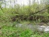 Река Иль - сердце природной территории Ильский Подкрепостной лес