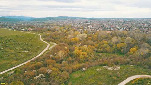 Ильский Подкрепостной лес - перспективная природная рекреационная территория
