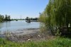 Затон Обрывной (старица реки Кубани) в районе дамбы на Зелёный остров