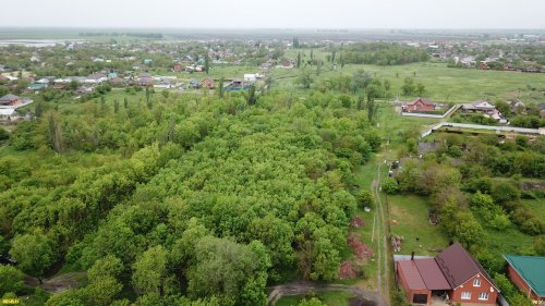 Центральная часть урочища Парк в станице Марьянской 