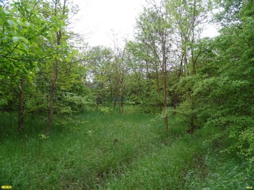 Урочище Парк в станице Марьянской (Красноармейский район)