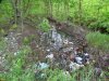 Урочище Парк в станице Марьянской страдает от отходов человеческой жизнедеятельности