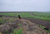 Одинокий "сторож" на несанкционированной свалке 