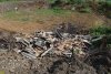 Мусор на закрытую и "рекультивированную" свалку в Холмском продолжают нелегально завозить