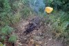 Закрытая свалка ТБО в станице Северской продолжает местами гореть и тлеть