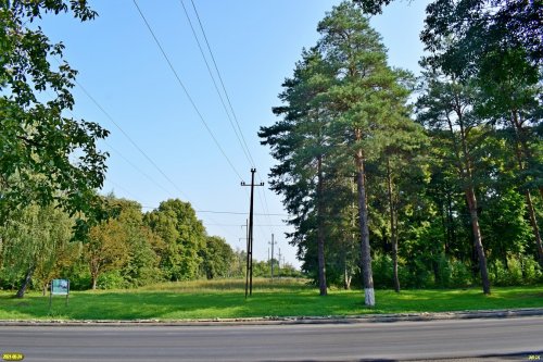 Просека под ЛЭП в южной части урочища "Парк" на территории г.Абинска