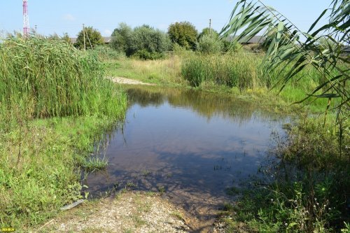 Пруд в северной части "зелёной зоны" в Абинске в районе кирпичного завода