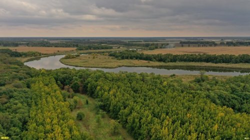 Когда-то в Дубовой роще в Ленинградском районе располагался учебный казачий, а затем кавалерийский лагерь