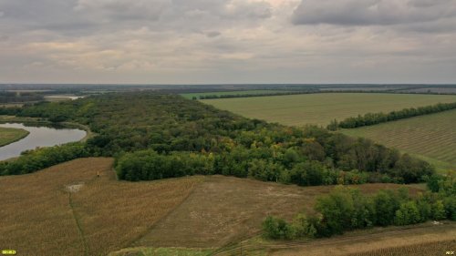 Площадь памятника природы "Дубовая роща" (Ленинградский район) - более 75 га