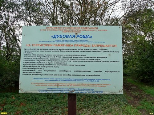 Аншлаг ООПТ "Дубовая роща" (Ленинградский район)