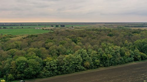 Памятник природы "Урочище Зелёная роща" возле ст.Новоплатнировской - рукотворного происхождения