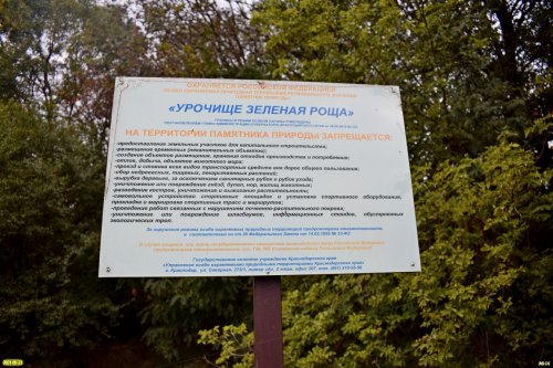Аншлаг памятника природы "Урочище Зелёная роща" в районе ст.Новоплатнировской (Ленинградский район)