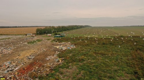 Никак не огороженная Павловская свалка "расползается" на соседнюю территорию