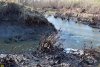 Место впадения в реку Убин ручья на территории станицы Азовской (Северский район)