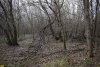 Ручей в Роще тополя белого в пойме реки Убин (х.Воликов, Северский район)