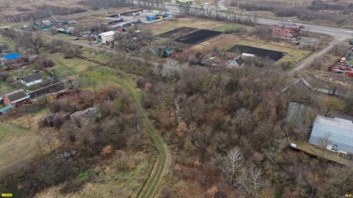 По дороге от Науменкова леса к центру хутора Науменков растёт гигантский дуб-старожил