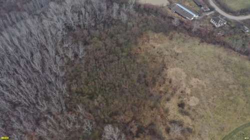 В восточной части Рощи тополя белого в пойме реки Убин расположен массив деревьев иных пород