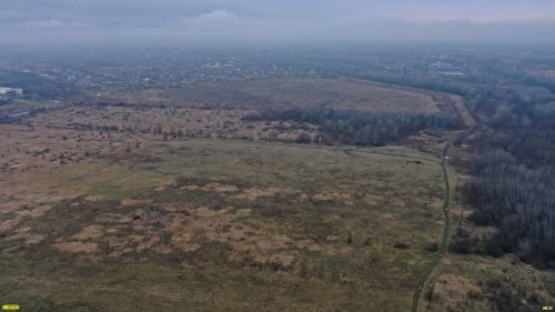 Восточно-Северский лес расположен к востоку от станицы Северской