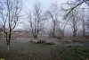 Зелёная зона Воронежская-1