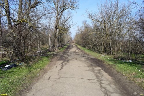 Зелёная зона Некрасовская-1