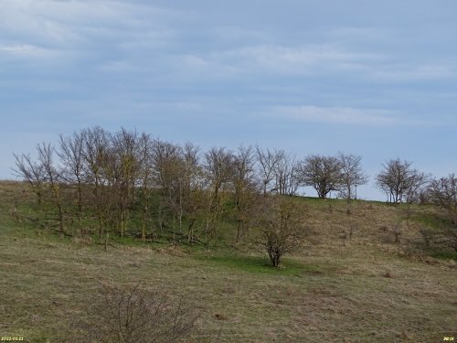 Урочище Красная Горка