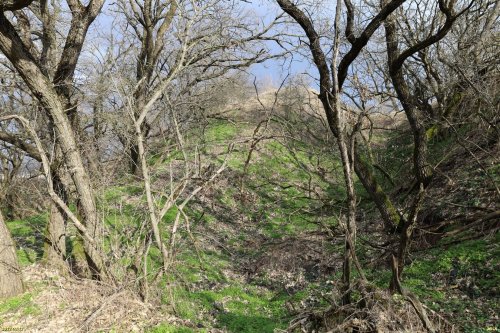 Семибратские курганы