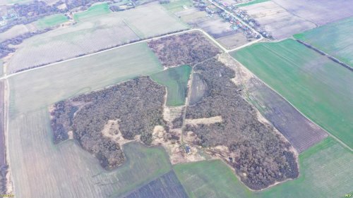 Красногорский лес