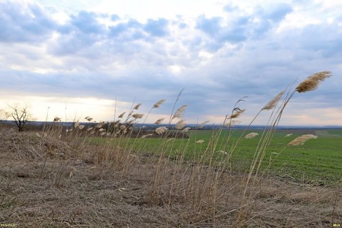 Красногорский лес