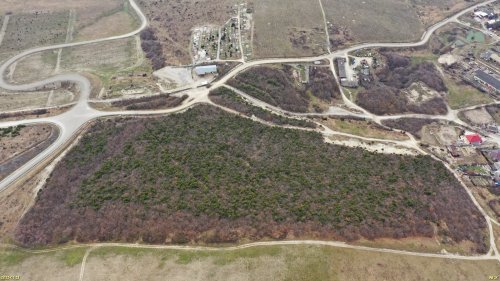 Зелёная зона (2) в селе Варваровка