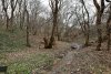 Зелёная зона (1) в селе Гай-Кодзор