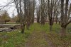 Зелёная зона (2) в селе Гай-Кодзор