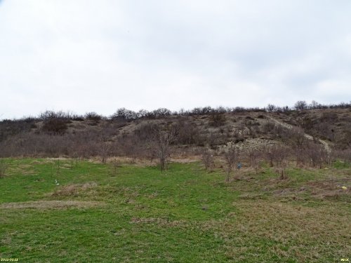 Курбацкий бугор