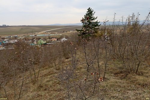 Курбацкий бугор