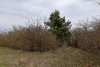 Курбацкий бугор