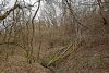 Курбацкая балка