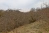 Курбацкая балка
